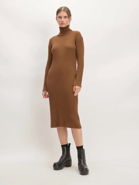 Everlane Dresses & Skirts - Everlane The Cotton-Merino Turtleneck Dress / Rich Camel / Small